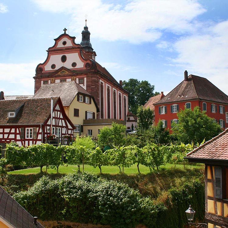 Gebäude und Gartenanlagen in der Stadt Ettenheim